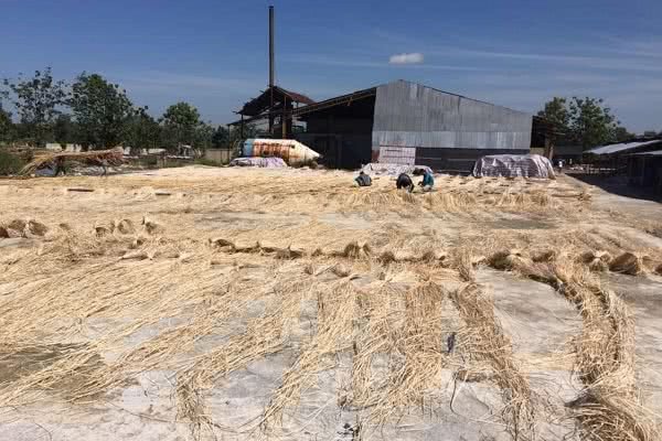 Timeline showing rattan material evolution since 2018