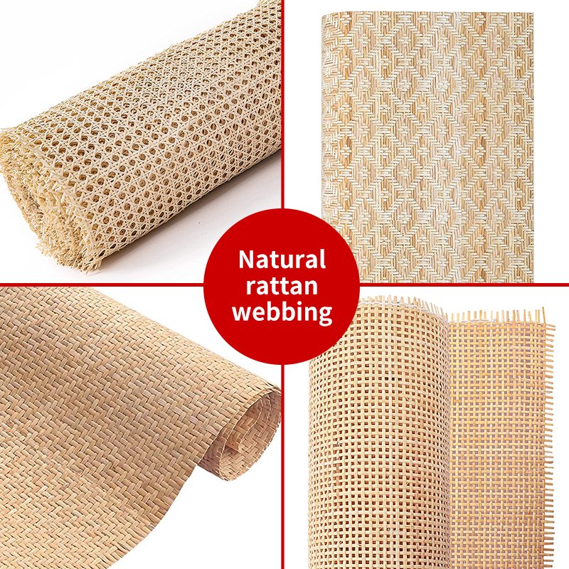 SeaFan Product Display