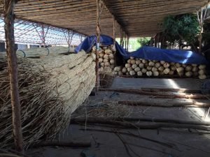 Rattan Wholesaler,rattan cane webbing, Plastic rattan cane webbing, Rattan core, basket weaving rattan core,Rattan chair cane, Rattan peel ,rattan pole, Paper Webbing,Rattan mats,rattan cane for furniture making,,rattan cane strips for crafts,rattan peel for weaving,rattan chair cane replacement rattan peel strips,rattan pole suppliers,natural rattan mats,rattan webbing for chairs rattan chair back webbing,rattan furniture cane webbing,rattan sheets for furniture,naturl rattan webbing