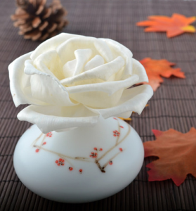 Оптовый продавец ротанга, плетеная сетка из ротанга, пластиковая плетеная сетка из ротанга, сердцевина ротанга, сердцевина ротанга для плетения корзин, сиденье из ротанга, кора ротанга, шест из ротанга, бумажная сетка, циновки из ротанга, ротанг для изготовления мебели, полоски ротанга для рукоделия, кора ротанга для плетения, замена сиденья из ротанга, полоски коры ротанга, поставщики шестов из ротанга, натуральные циновки из ротанга, плетеная сетка из ротанга для стульев, плетеная сетка для спинки стула из ротанга, плетеная сетка для плетеной мебели, листы ротанга для мебели