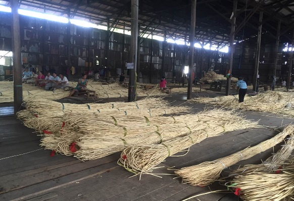 Rattan cane webbing production Step--1,Rattan wholesaler,Rattan cane webbing,Plastic rattan cane webbing, Rattan core, basket weaving rattan core,Rattan chair cane, Rattan peel ,rattan pole,Paper Webbing,Rattan mats,rattan cane for furniture making,rattan cane strips for crafts,rattan peel for weaving,rattan chair cane replacement,rattan peel strips,rattan pole suppliers,natural rattan mats,rattan webbing for chairs,rattan chair back webbing,rattan furniture cane webbing,rattan sheets for furniture
