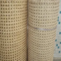 Оптовый продавец ротанга, плетеная сетка из ротанга, пластиковая плетеная сетка из ротанга, сердцевина ротанга, сердцевина ротанга для плетения корзин, сиденье из ротанга, кора ротанга, шест из ротанга, бумажная сетка, циновки из ротанга, ротанг для изготовления мебели, полоски ротанга для рукоделия, кора ротанга для плетения, замена сиденья из ротанга, полоски коры ротанга, поставщики шестов из ротанга, натуральные циновки из ротанга, плетеная сетка из ротанга для стульев, плетеная сетка для спинки стула из ротанга, плетеная сетка для плетеной мебели, листы ротанга для мебели