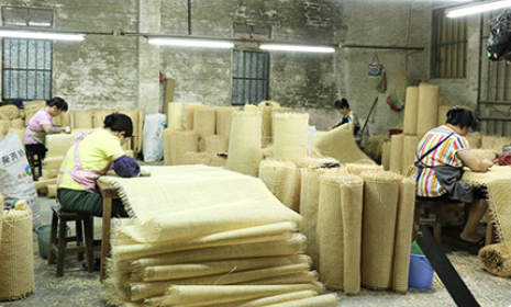 rattan cane webbing production step -----9,Rattan wholesaler,Rattan cane webbing,Plastic rattan cane webbing, Rattan core, basket weaving rattan core,Rattan chair cane, Rattan peel ,rattan pole,Paper Webbing,Rattan mats,rattan cane for furniture making,rattan cane strips for crafts,rattan peel for weaving,rattan chair cane replacement,rattan peel strips,rattan pole suppliers,natural rattan mats,rattan webbing for chairs,rattan chair back webbing,rattan furniture cane webbing,rattan sheets for furniture