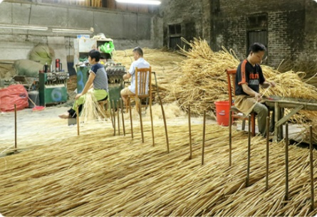 rattan cane webbing production step-----2,Rattan wholesaler,Rattan cane webbing,Plastic rattan cane webbing, Rattan core, basket weaving rattan core,Rattan chair cane, Rattan peel ,rattan pole,Paper Webbing,Rattan mats,rattan cane for furniture making,rattan cane strips for crafts,rattan peel for weaving,rattan chair cane replacement,rattan peel strips,rattan pole suppliers,natural rattan mats,rattan webbing for chairs,rattan chair back webbing,rattan furniture cane webbing,rattan sheets for furniture