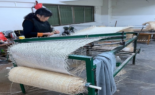 rattan cane webbing production by woman weaving with machine step----------8,Rattan wholesaler,Rattan cane webbing,Plastic rattan cane webbing, Rattan core, basket weaving rattan core,Rattan chair cane, Rattan peel ,rattan pole,Paper Webbing,Rattan mats,rattan cane for furniture making,rattan cane strips for crafts,rattan peel for weaving,rattan chair cane replacement,rattan peel strips,rattan pole suppliers,natural rattan mats,rattan webbing for chairs,rattan chair back webbing,rattan furniture cane webbing,rattan sheets for furniture