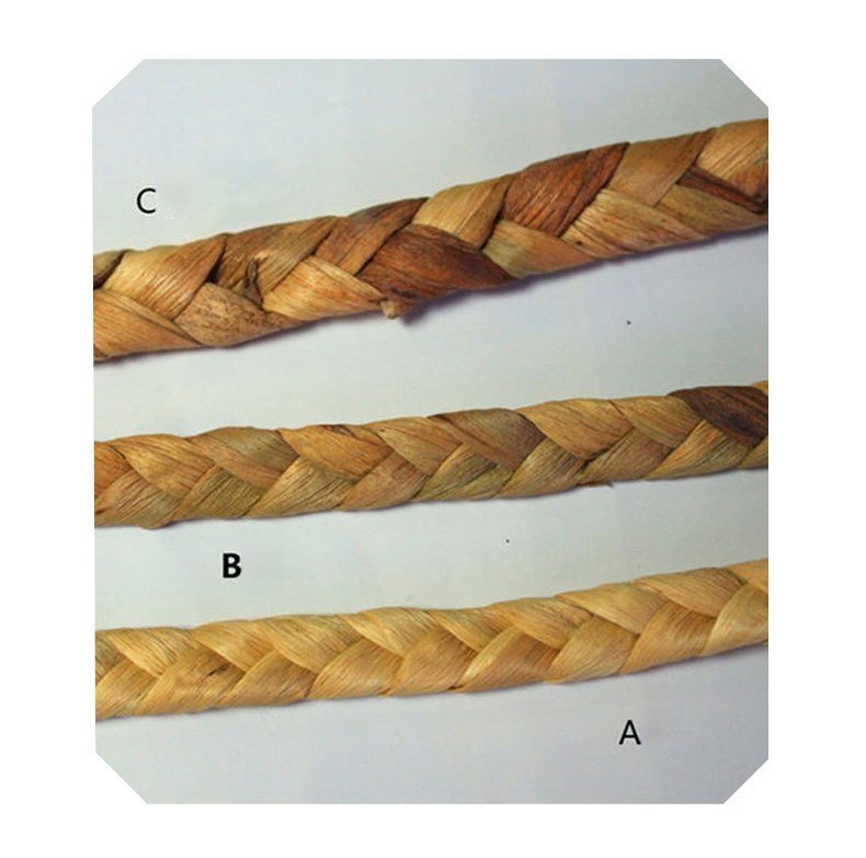 different grade of seagrass