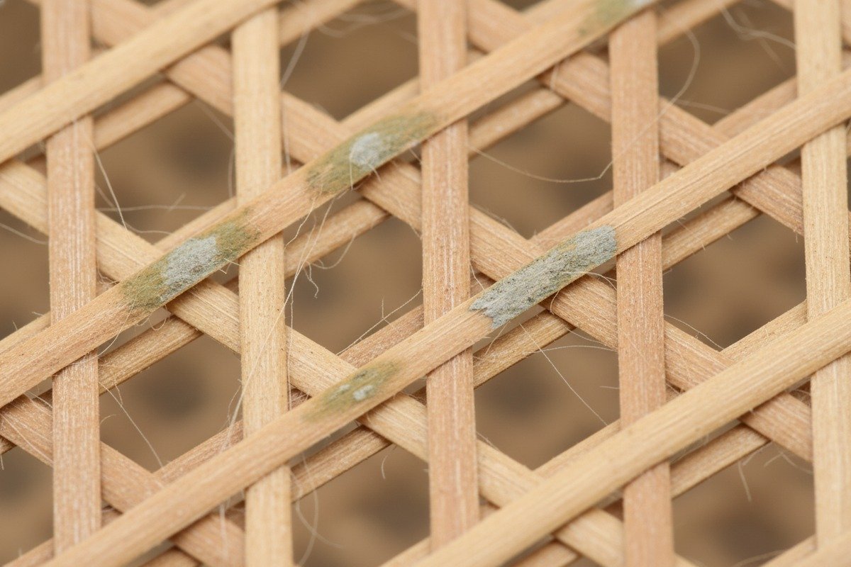 Green skin markings on Grade C rattan caused by chlorophyll and moisture during harvesting (ID#2)