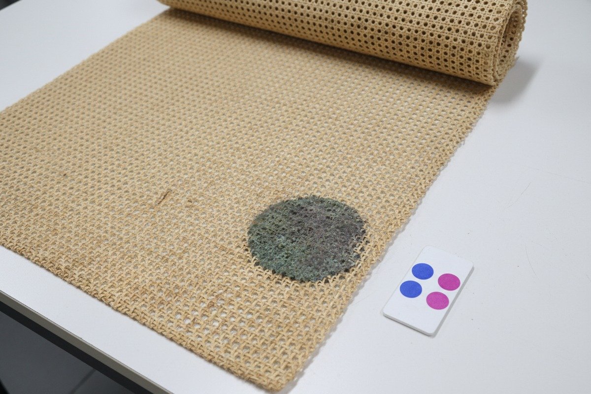 Unterscheidung zwischen natürlichen Rattan-Farbvariationen und dunklen Feuchtigkeitsschäden oder Schimmel (ID#4)