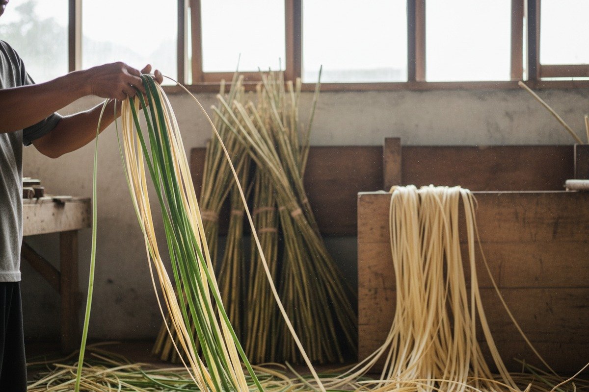 Rattan Plant Pigmentation Explained Natural rattan cane webbing with visible green streaks from original plant chlorophyll pigmentation (ID#2)