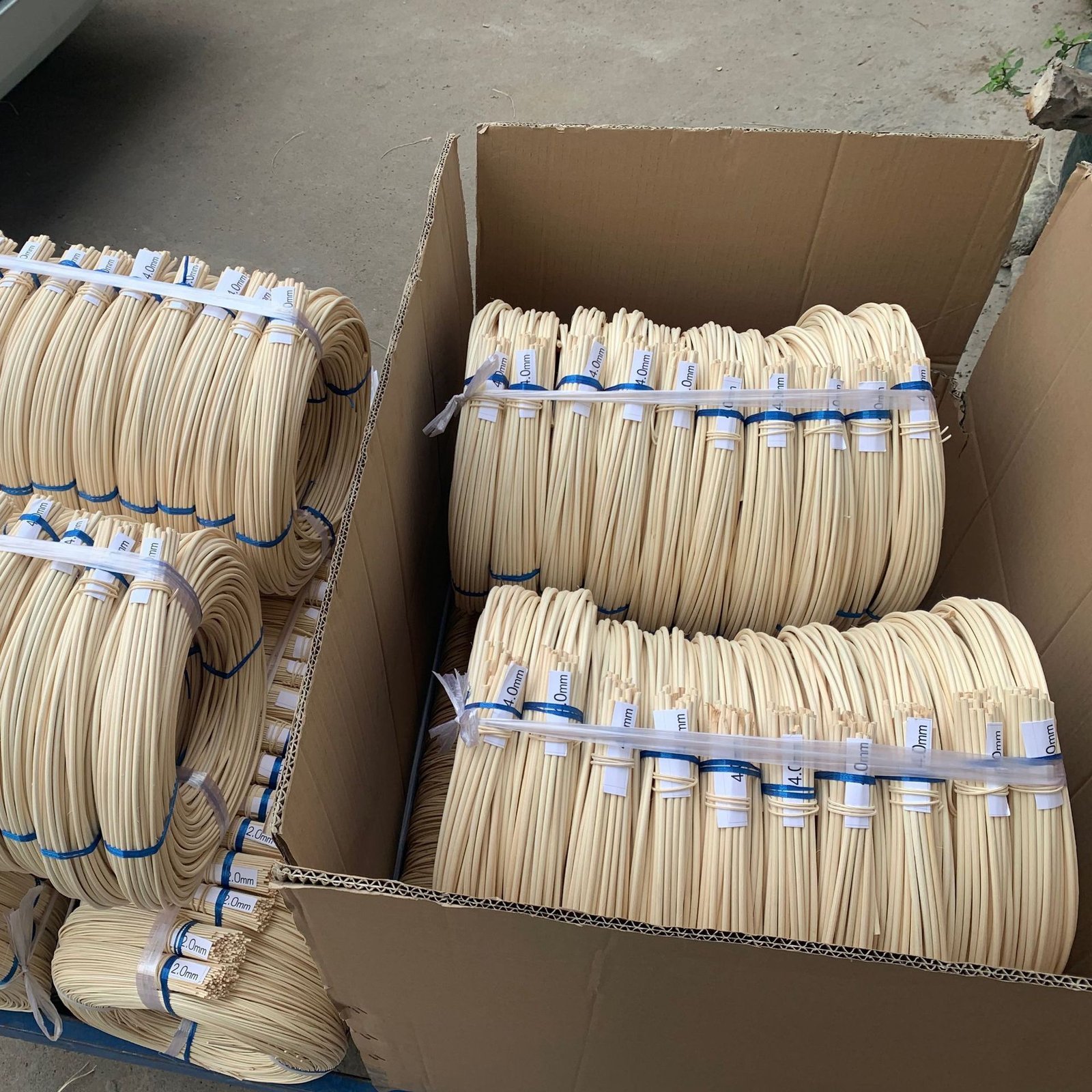 rattan core by coil