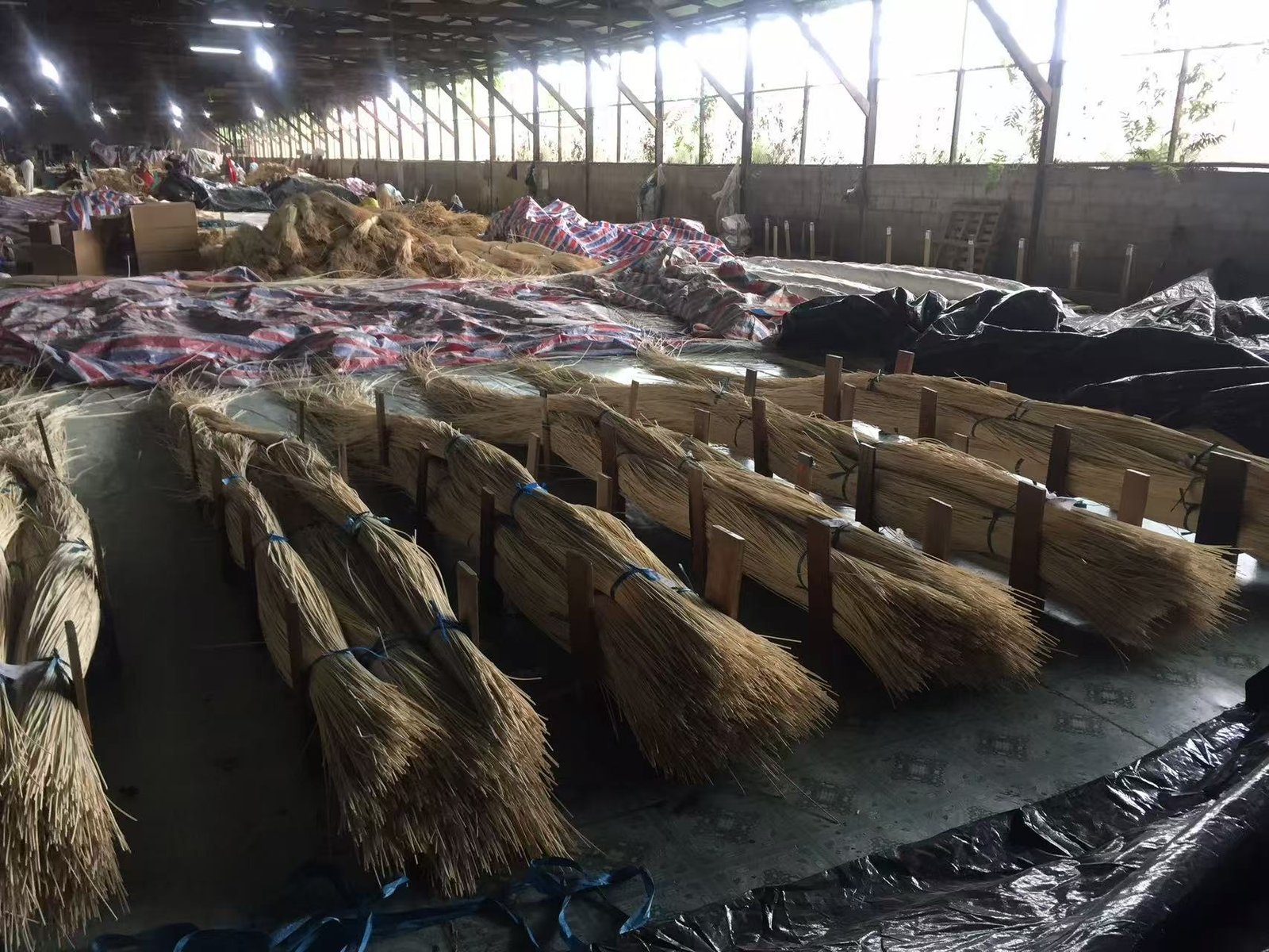rattan core production
